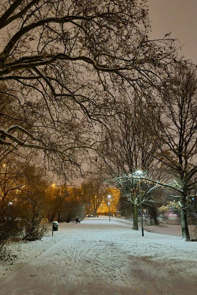 Beautiful Park Cold Winter Evening — Stock Photo, Image