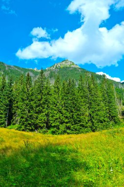 Güneşli bir yaz gününde dağların ve mavi gökyüzünün güzel manzarası