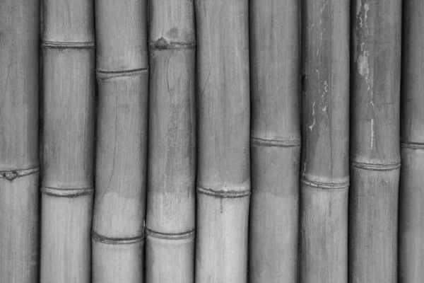 Grijze Textuur Van Bamboe Hout Achtergrond — Stockfoto