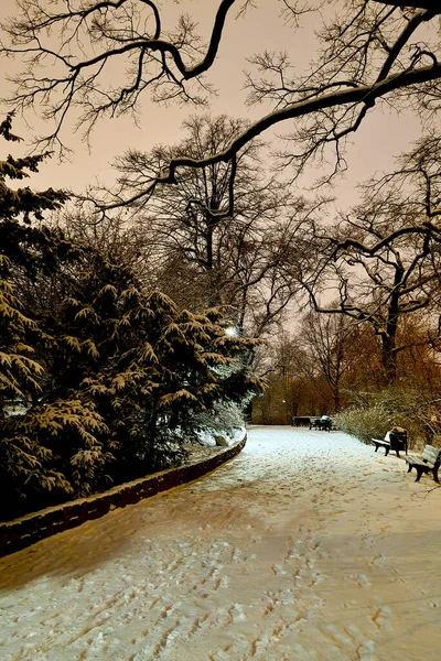 View Winter Evening Evening Park — стоковое фото