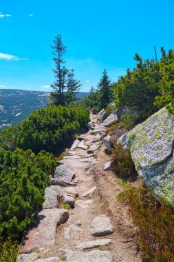 Güneşli bir yaz gününde dağların tepesinde bir taş patika.