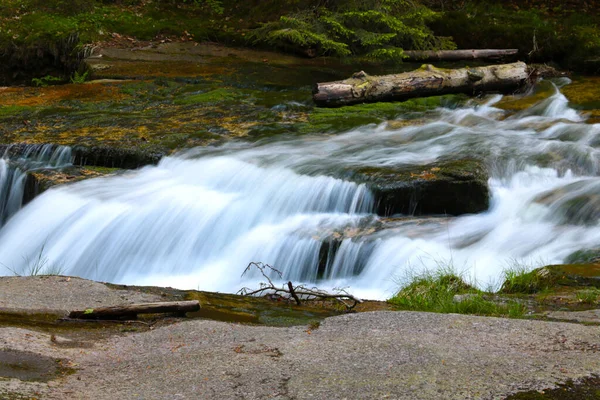 Small Picturesque River Flows Forest Mountains —  Fotos de Stock