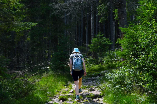 一个背着背包的女孩在森林的石头上走着 活动图像 — 图库照片