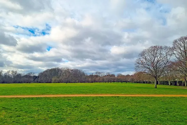 Piękny Zielony Park Pochmurny Zimowy Dzień — Zdjęcie stockowe