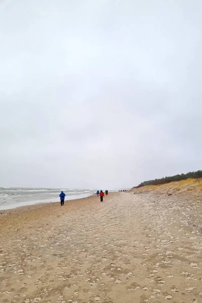 Узбережжя Балтійського Моря Зимовий Хмарний День — стокове фото