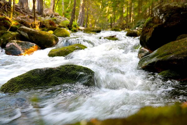 Beautiful Mountain River Flows Stones Forest Cold Clear Water Selective —  Fotos de Stock