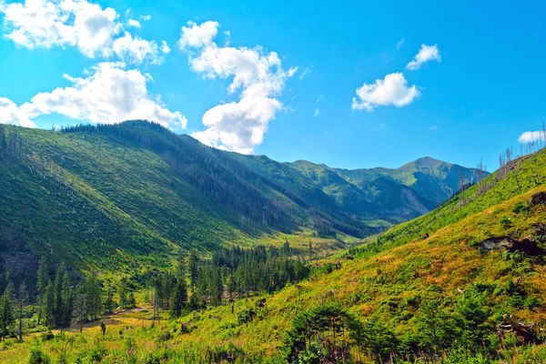 Scenic View Mountain Valley Sunny Summer Day — стоковое фото