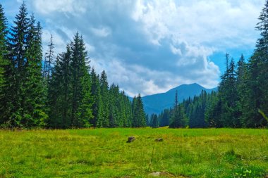 Güneşli bir günde manzaralı dağ manzarası