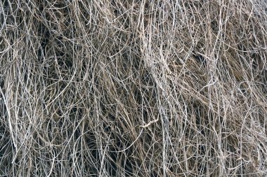 Otların ve samanların gri arkaplanının görüntüsü