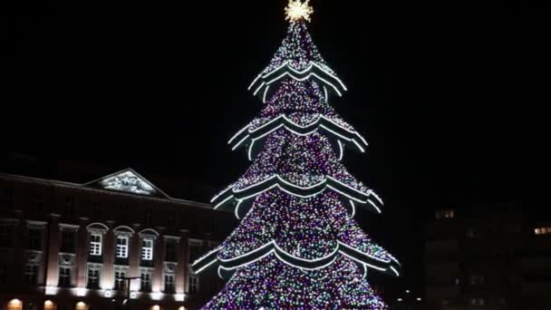 Arbre Noël Lumineux Avec Des Lumières Clignotantes Éclairage Nocturne — Video