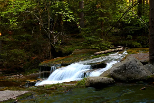Small Stream Cold Water Flows Forest Backdrop Nature —  Fotos de Stock
