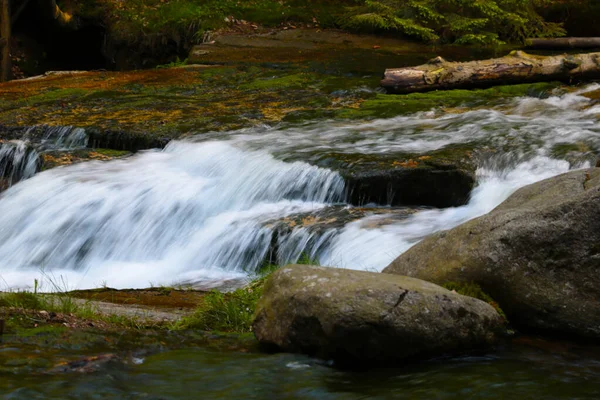 Cold Clear Water Flows Rocks Forest Spring —  Fotos de Stock