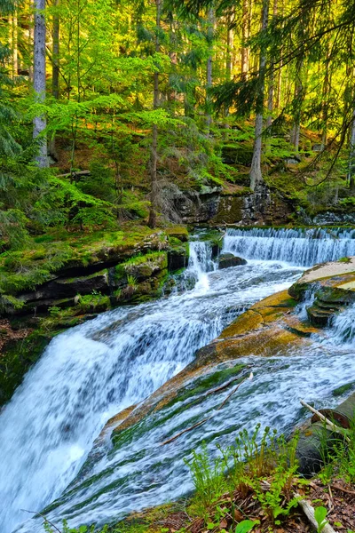 Pequeño Río Fluye Por Las Rocas Bosque —  Fotos de Stock