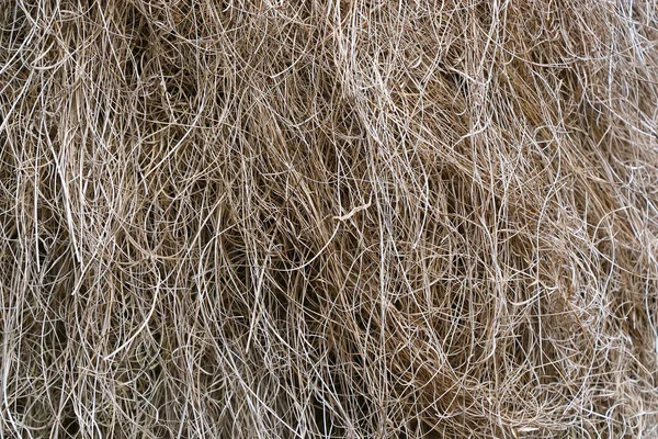 Gray Hay Texture Nature Background Natural Color — ストック写真