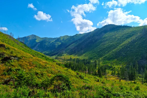Piękna Zielona Malownicza Dolina Górach Kontekst Natury — Zdjęcie stockowe