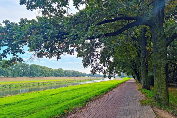 Uma Pitoresca Trilha Caminhada Longo Rio Árvores Verdes — Fotografia de Stock