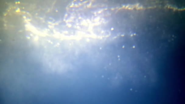 Underwater shooting at the depth of a swimming shark. The bottom of the sea or ocean. — Vídeo de stock