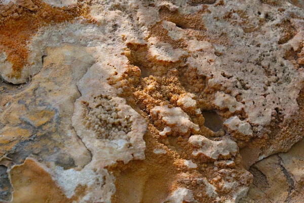 View of the crystalline formation of a dried lake, background. — Stock Photo, Image