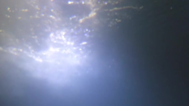 Out of focus, blurry background. Underwater filming of water flow. Undersea world. View from the bottom of the ocean, view below the surface. — ストック動画