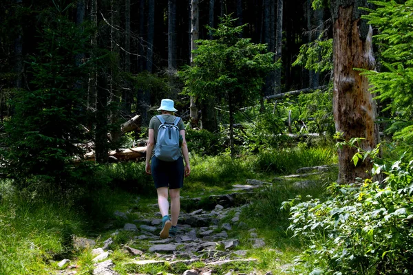 一个女孩爬上了森林中的一座山 积极的生活方式 — 图库照片