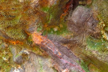 Kayanın ya da taşın renkli yüzeyi, arka plan, duvarın dokusu.