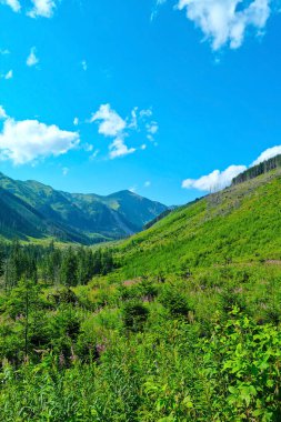Güneşli bir günde dağlarda güzel yeşil bir vadi