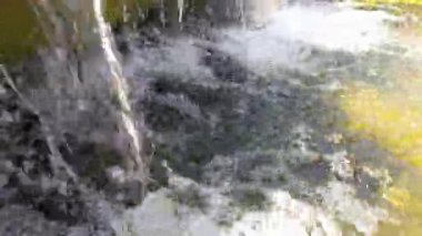 Bardaktan boşalırcasına su iç. Su kabarcıkları. Doğa arkaplanı