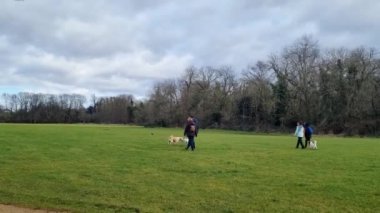 Londra, Birleşik Krallık, 7 Şubat 2022: İnsanlar parkta köpeklerini gezdiriyorlar