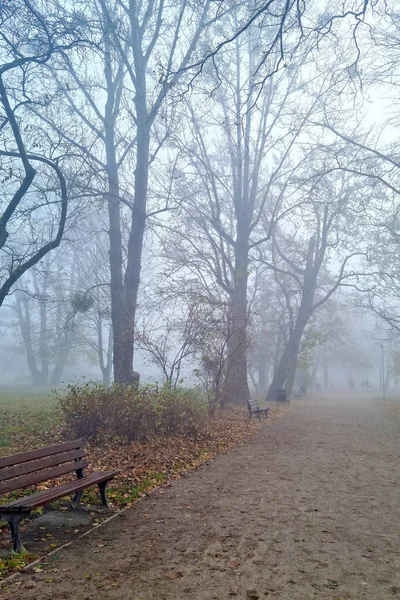 Una Mística Mañana Niebla Parque Otoño — Foto de Stock