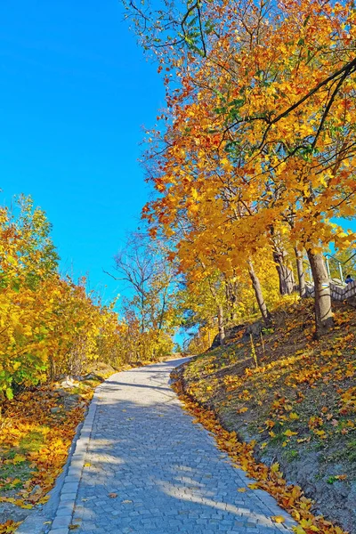 Uma Bela Trilha Cênica Parque Para Passeio Dia Ensolarado Outono — Fotografia de Stock