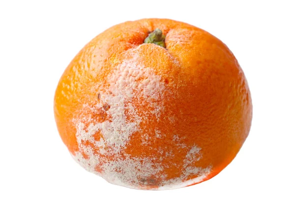 Zbliżenie Zepsutej Pomarańczy Białym Tle Izolat Owoców — Zdjęcie stockowe