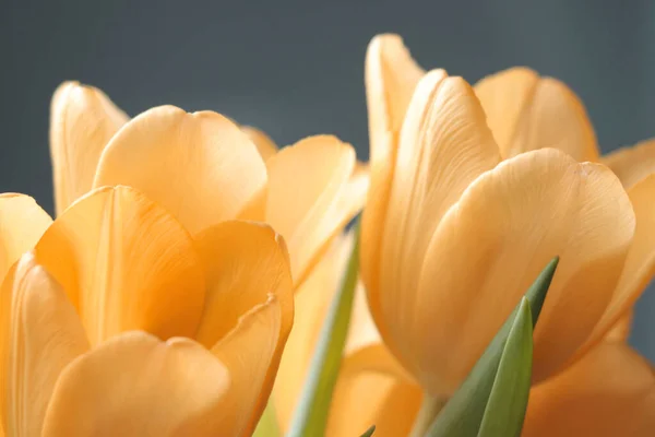 Zbliżenie Kwitnącego Bukietu Pomarańczowych Tulipanów — Zdjęcie stockowe