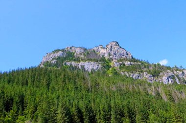 Dağın tepesi ve mavi gökyüzüne karşı yeşil orman.