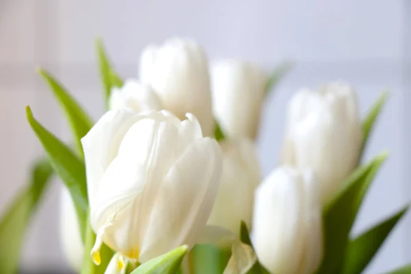 Kwitnący Bukiet Bia Ych Tulipanów Gratuluję Wakacji — Zdjęcie stockowe
