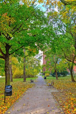 Resmedilmeye değer sarı kırmızı yeşil park bir sonbahar gününde