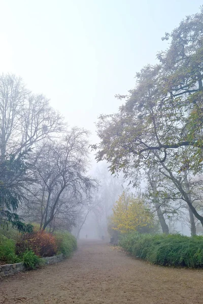 Mlhavé Mystické Ráno Parku Podzim — Stock fotografie