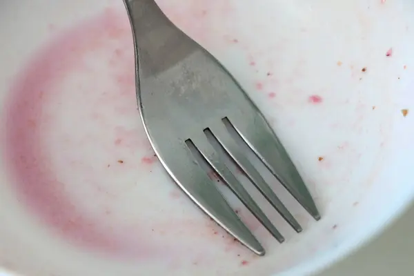 Dirty Gray Plate Fork Eating — Stok fotoğraf