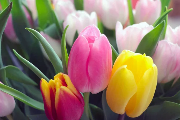 Kwitnący Piękny Bukiet Świeżych Tulipanów Wazonie — Zdjęcie stockowe