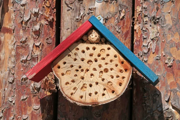 Small Insect House Hangs Tree — Stockfoto