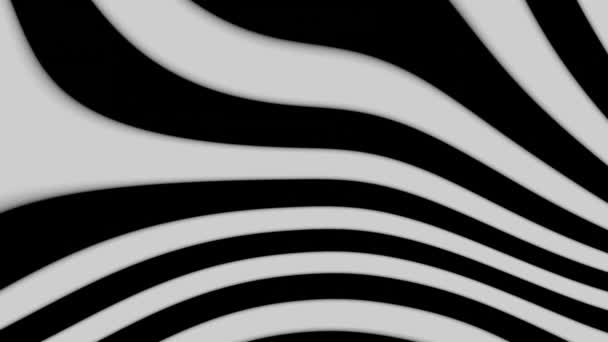 Smoothly Changing Black White Stripes Black White Optical Illusion Hypnotic — Stock Video