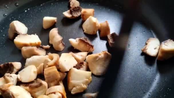 Mushrooms Mixed Pan Roasting Mushrooms Homemade Food Preparing Breakfast Lunch — 图库视频影像