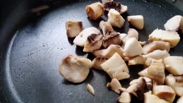 Roasting Mushrooms Cooking Mushrooms Pan Homemade Food — 图库视频影像