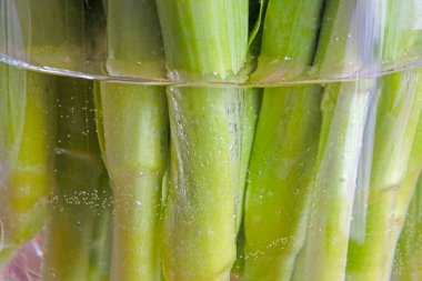 In a vase of water are tulip flowers
