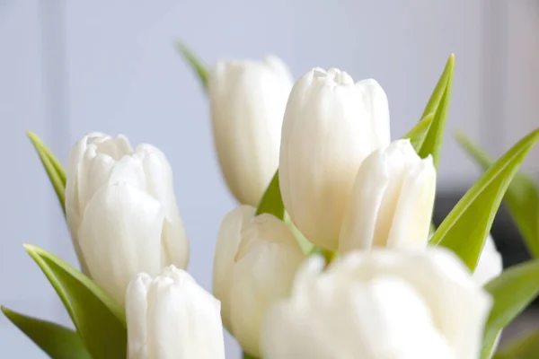 White Bouquet Blooming Tulips Vase — Zdjęcie stockowe
