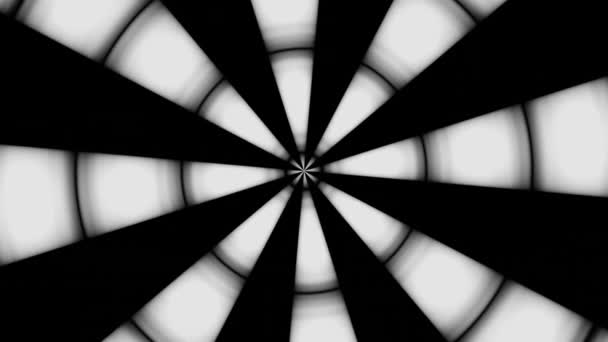 Stunning Black White Video Abstraction Background — Vídeo de stock