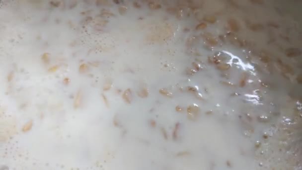 Cooking Porridge Oatmeal Milk Delicious Light Food Breakfast Healthy Wholesome — Stockvideo