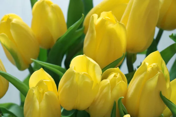 Yellow Bouquet Flowering Tulips Fresh Flowers — Zdjęcie stockowe