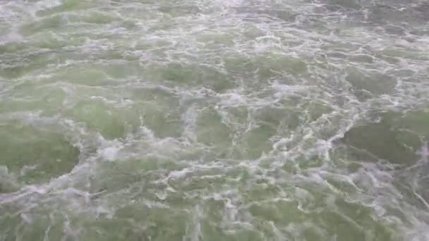 Large Flow Water Fast Mountain River Water Background Foam Splashes — Stock video