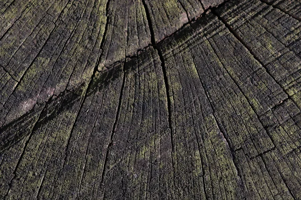 Темный Деревянный Фон Текстура Дерева Blank — стоковое фото