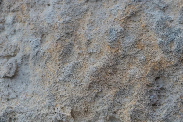 Bir Taşın Arka Planı Bir Kayanın Dokusu Doğal Fosil — Stok fotoğraf